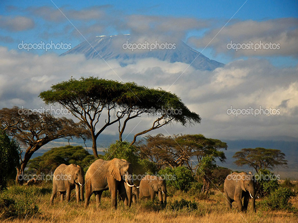 Kenya - Safari Samburu