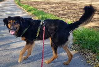 Sandokan